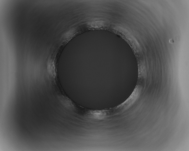 X0000103130187200809051617