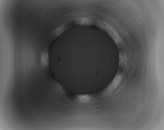 X0000103130189200809051617
