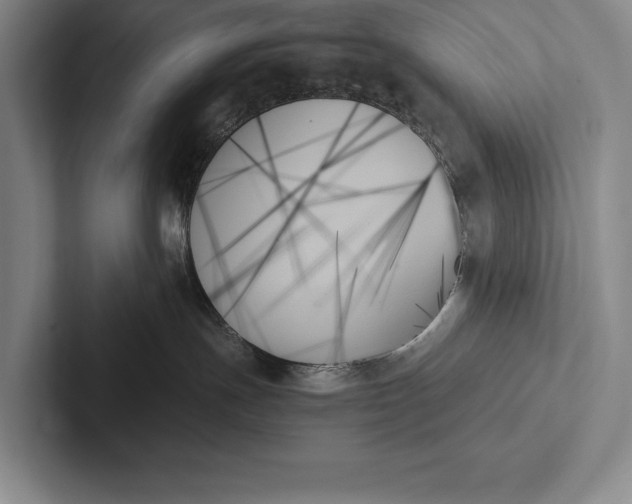 X0000103130191200809051617