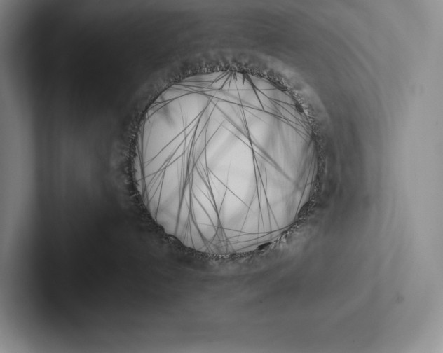 X0000103130192200809051617