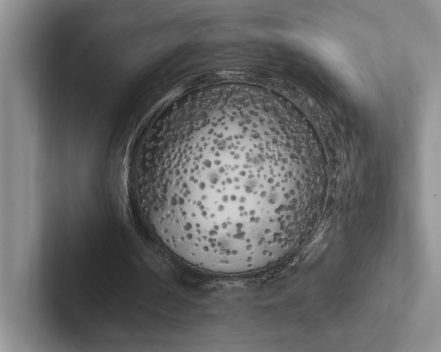 X0000103130194200809051617