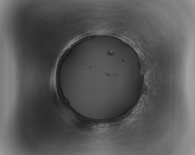 X0000103130196200809051617