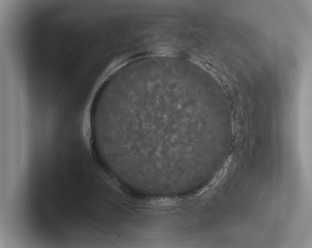 X0000103130198200809051617