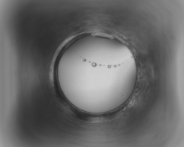 X0000103130200200809051617