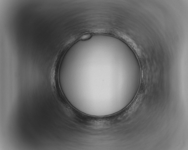 X0000103130201200809051616