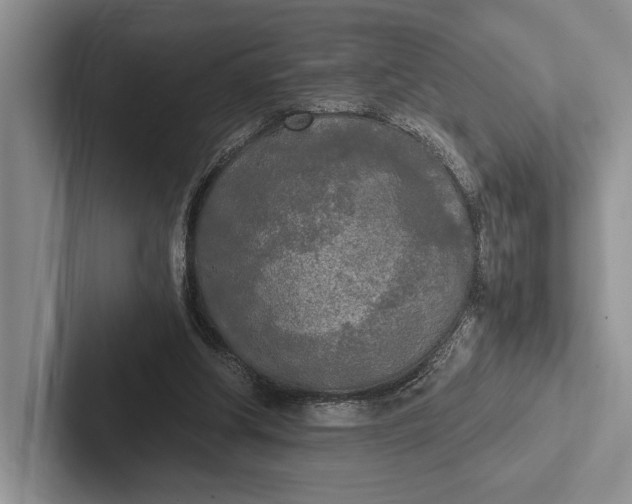 X0000103130202200809051616