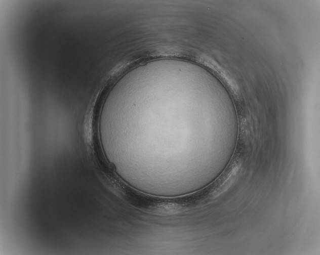 X0000103130203200809051616