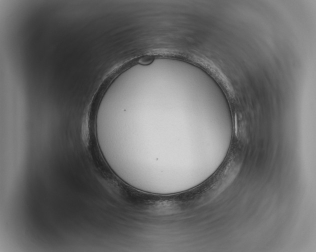 X0000103130204200809051616