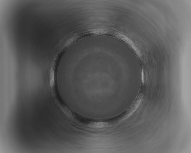 X0000103130205200809051616