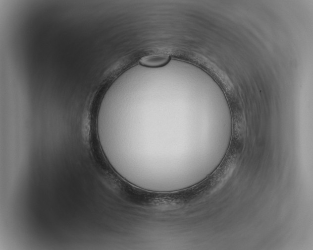 X0000103130207200809051616