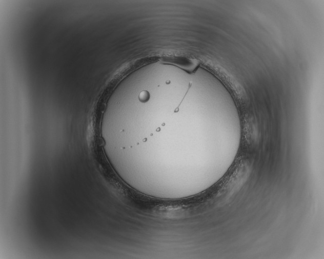 X0000103130208200809051616