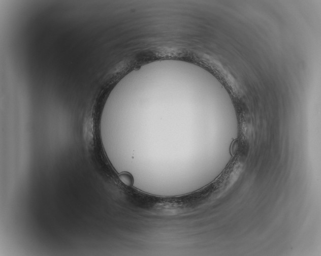 X0000103130211200809051616