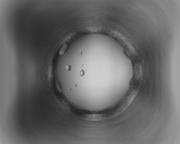 X0000103130212200809051616