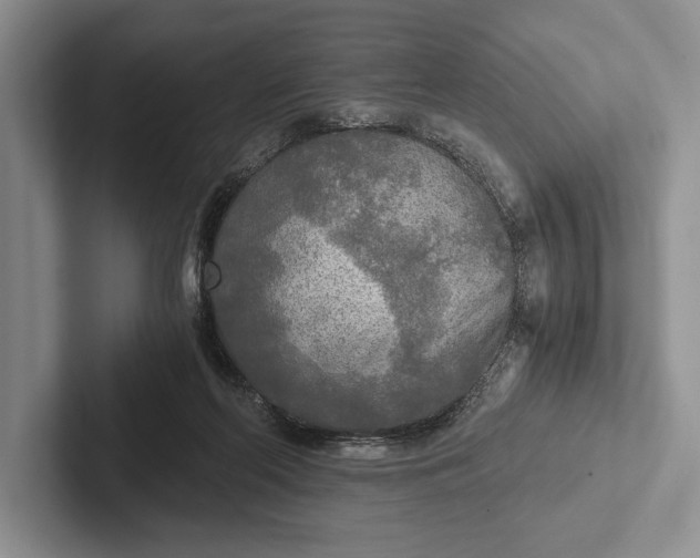 X0000103130214200809051616