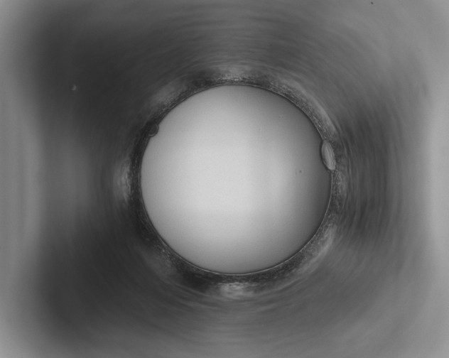 X0000103130216200809051616