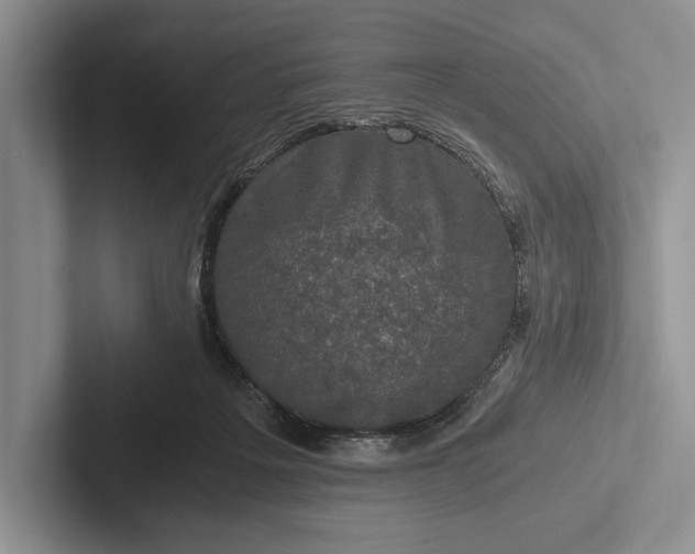 X0000103130217200809051616