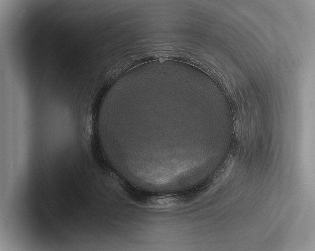 X0000103130219200809051616