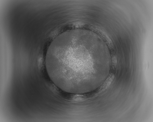 X0000103130222200809051616