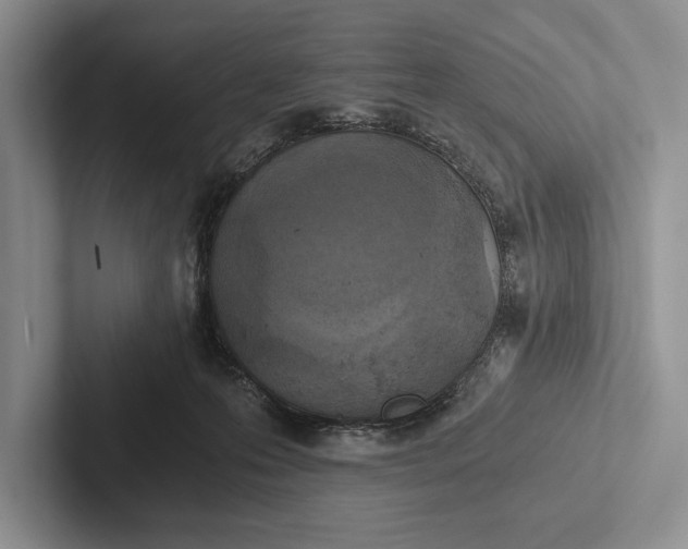 X0000103130223200809051616