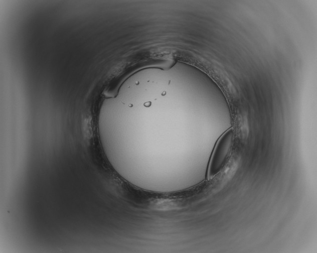 X0000103130224200809051616