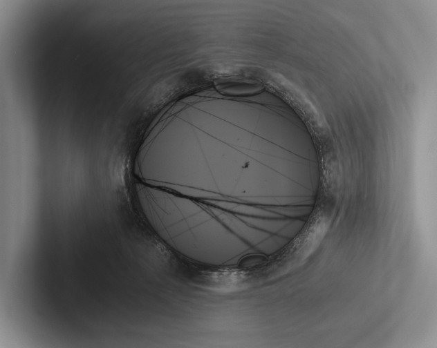 X0000103130225200809051616