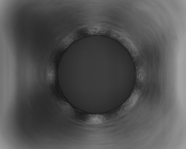 X0000103130226200809051616
