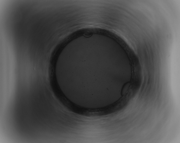 X0000103130228200809051616