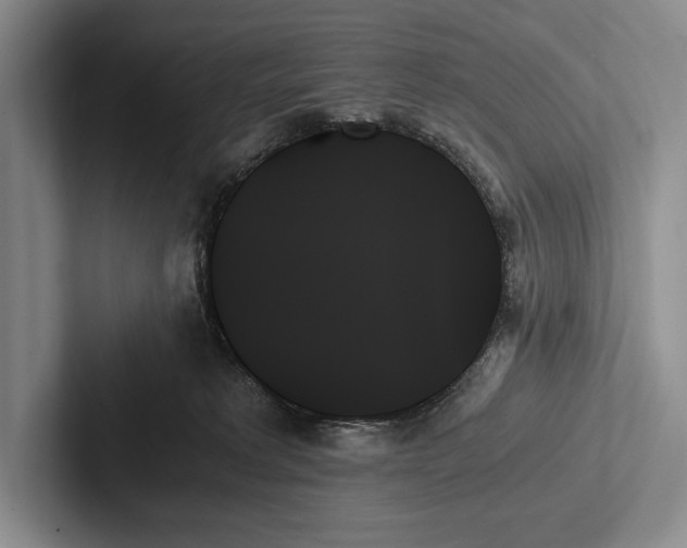 X0000103130229200809051616