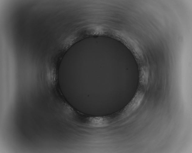X0000103130230200809051616