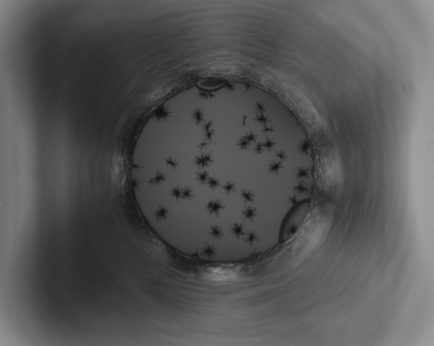 X0000103130232200809051616