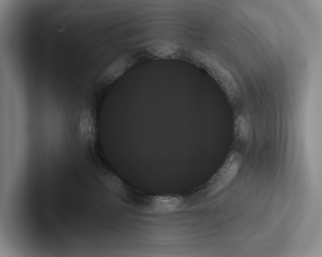 X0000103130234200809051616