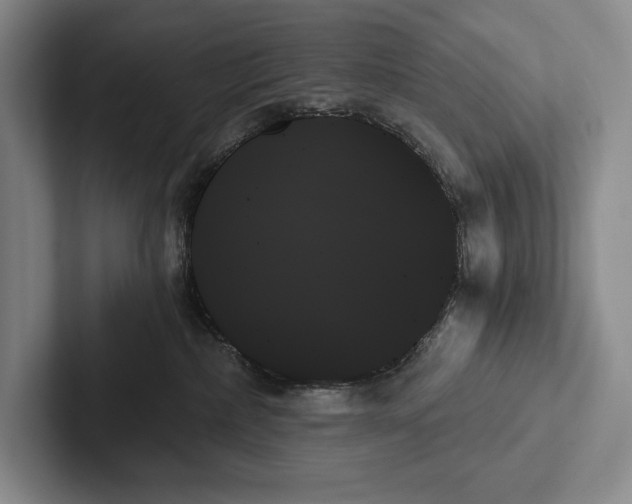 X0000103130236200809051616