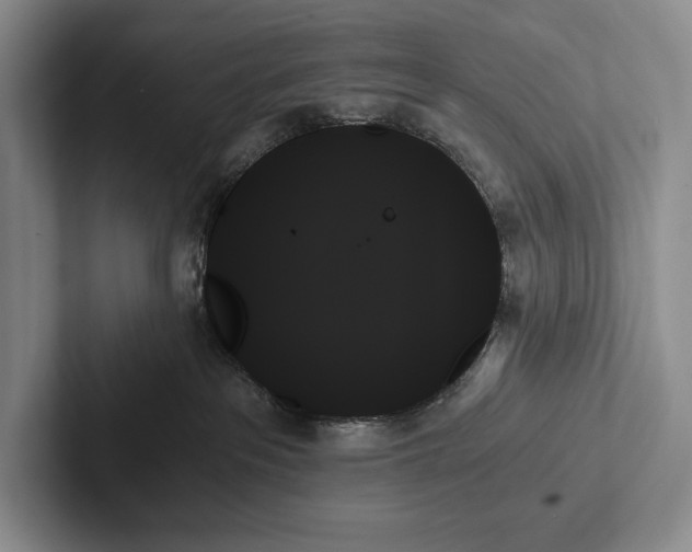 X0000103130237200809051616