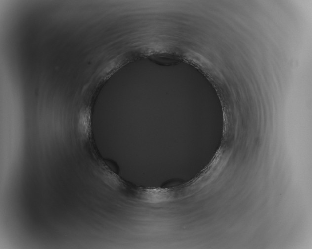 X0000103130240200809051616