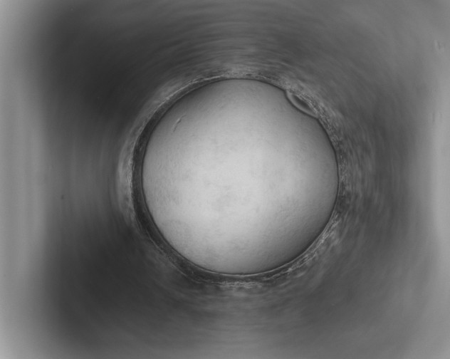 X0000103130242200809051615