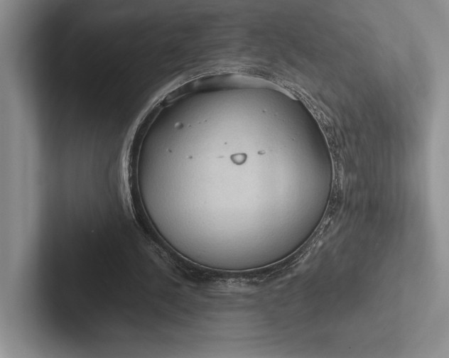 X0000103130244200809051615