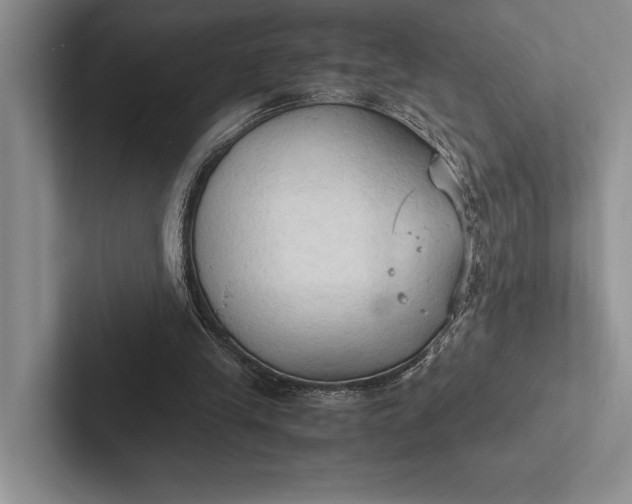 X0000103130245200809051615