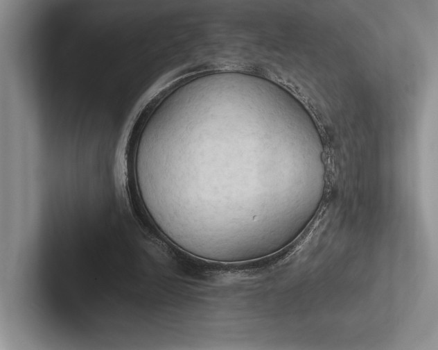 X0000103130246200809051615