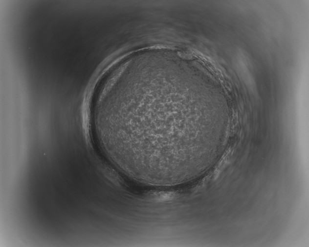 X0000103130247200809051615