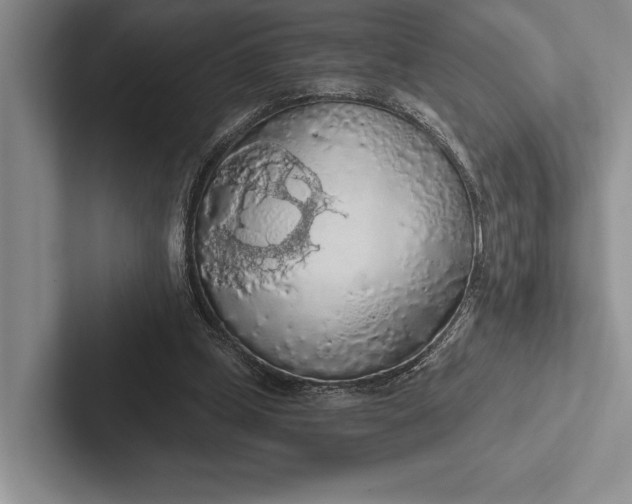 X0000103130249200809051615