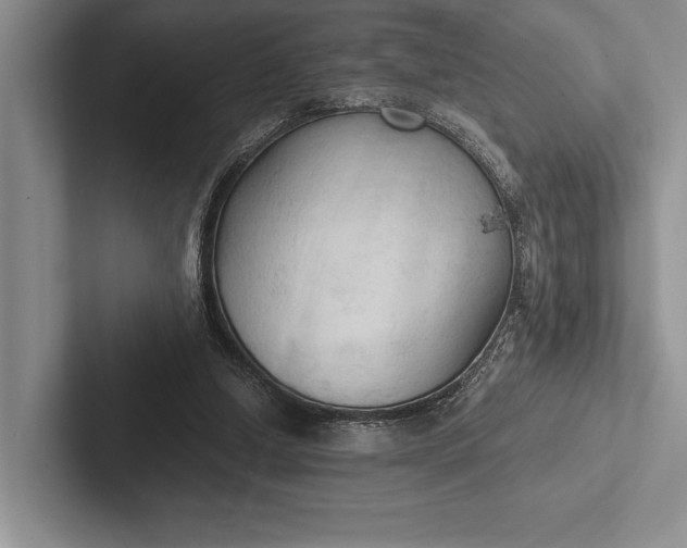 X0000103130250200809051615