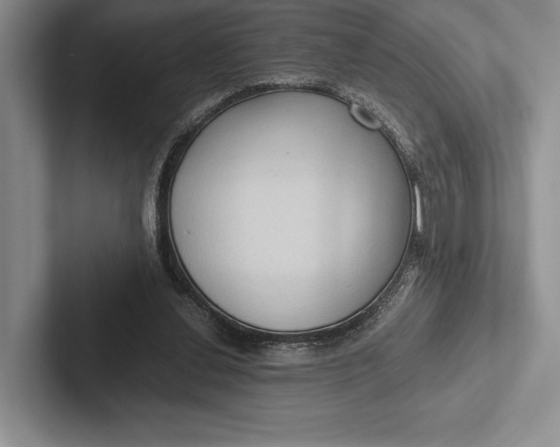 X0000103130252200809051615