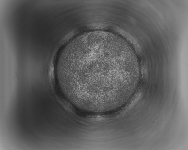 X0000103130254200809051615