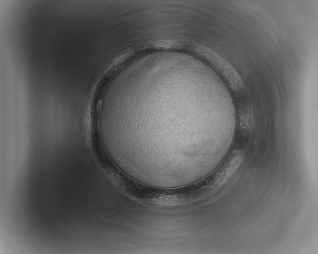 X0000103130256200809051615