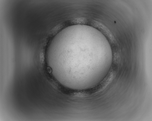 X0000103130259200809051615