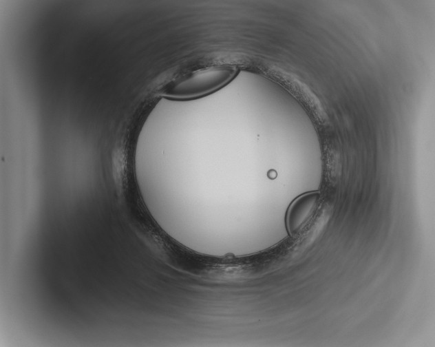 X0000103130260200809051615