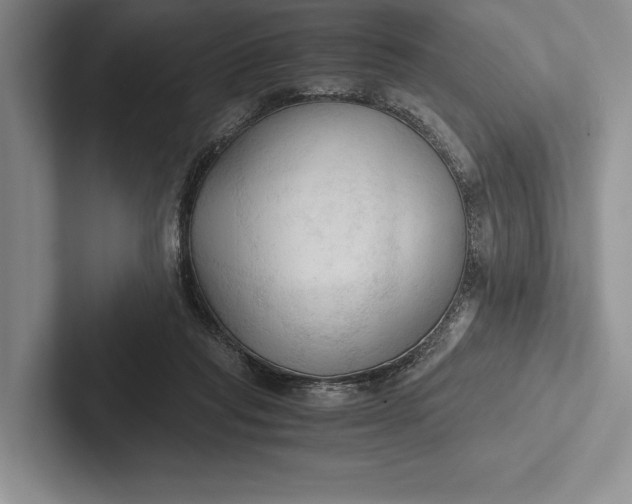 X0000103130261200809051616