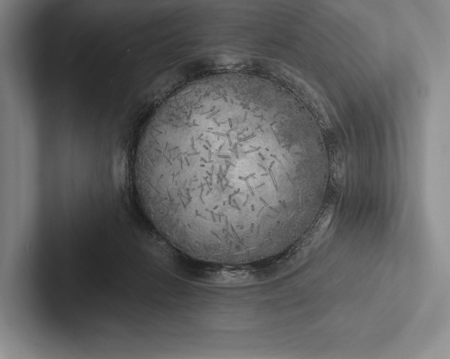 X0000103130270200809051616