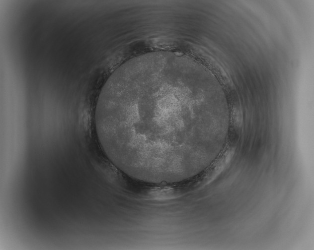 X0000103130271200809051616