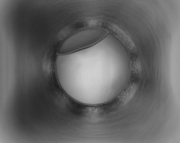 X0000103130272200809051616